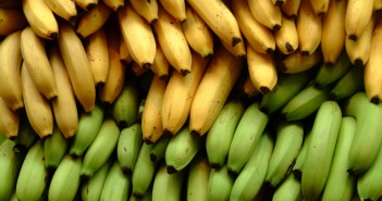 MIL HOJAS DE BERENJENA Y PLATANO MADURO